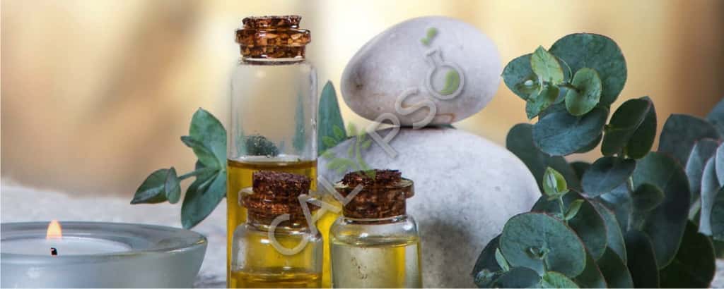 شراء السموم تدليك الزيت الروائح